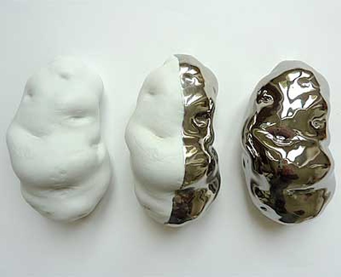 ‘Cloning’ 40 x17 x 8 cm ‘Cloning’ 40 x17 x 8 cm